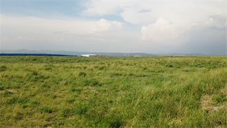 標(biāo)題：扎哈淖爾煤礦
瀏覽次數(shù)：2874
發(fā)表時間：2019-10-31