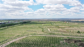 標題：托縣綠博園
瀏覽次數(shù)：2550
發(fā)表時間：2019-10-31