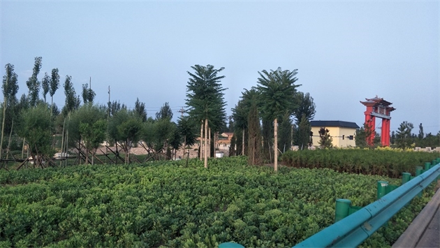 標(biāo)題：張家口經(jīng)開區(qū)腰站堡飲用水源地生態(tài)涵養(yǎng)綠化
瀏覽次數(shù)：3192
發(fā)表時(shí)間：2020-10-16