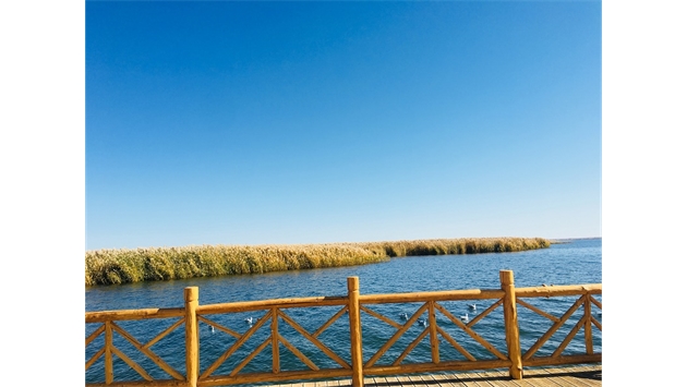 標(biāo)題：額濟(jì)納胡楊林景區(qū)
瀏覽次數(shù)：2018
發(fā)表時(shí)間：2020-10-16