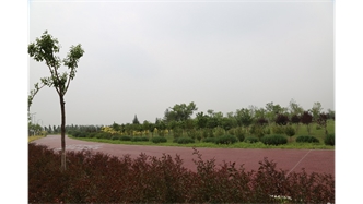 標(biāo)題：大青山南坡生態(tài)修復(fù)
瀏覽次數(shù)：2672
發(fā)表時間：2020-10-16