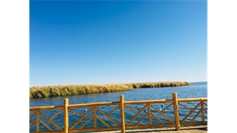 標(biāo)題：額濟(jì)納胡楊林景區(qū)
瀏覽次數(shù)：2017
發(fā)表時(shí)間：2020-10-16