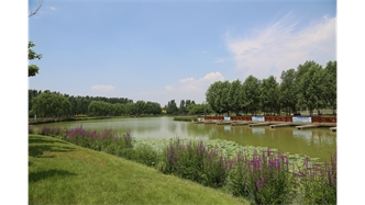 標(biāo)題：包頭市民公園
瀏覽次數(shù)：2087
發(fā)表時間：2020-10-16