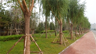 標(biāo)題：通遼市勝利北路道路景觀綠化
瀏覽次數(shù)：1990
發(fā)表時間：2020-10-16