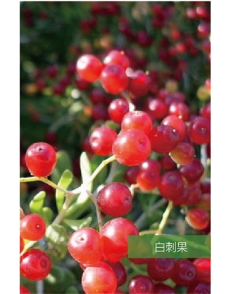 標(biāo)題：名貴樹種
瀏覽次數(shù)：1863
發(fā)表時間：2020-10-17