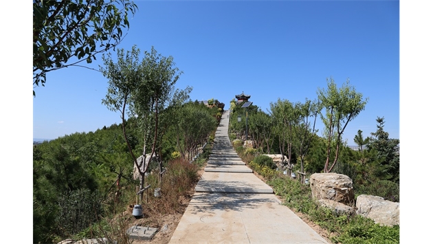 標(biāo)題：張家口太子山山體修復(fù)
瀏覽次數(shù)：19440
發(fā)表時(shí)間：2020-11-12