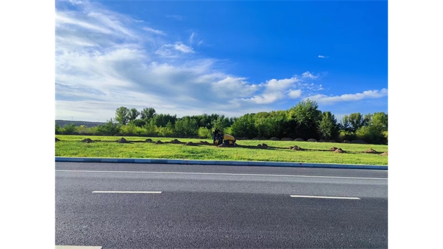 標(biāo)題：伊利現(xiàn)代智慧健康谷道路綠化建設(shè)項(xiàng)目
瀏覽次數(shù)：2568
發(fā)表時(shí)間：2023-11-07